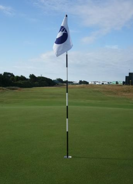 BMS Links Flag Pin (2mt)