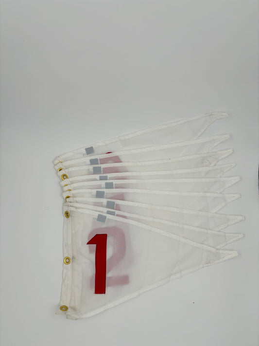 007 - Triangular Flag 1 -9