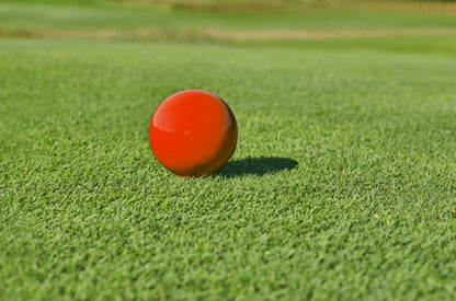 Red Fore-Ever ball tee marker with no neck on a golf course tee